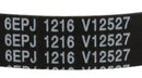 Correa lavadora Teka, Haier 81881055